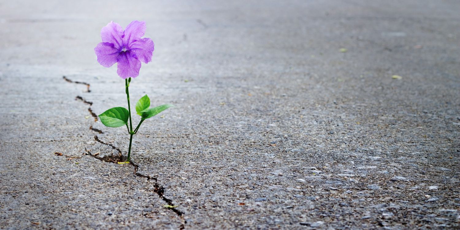 Trauma Emotivo nel corpo